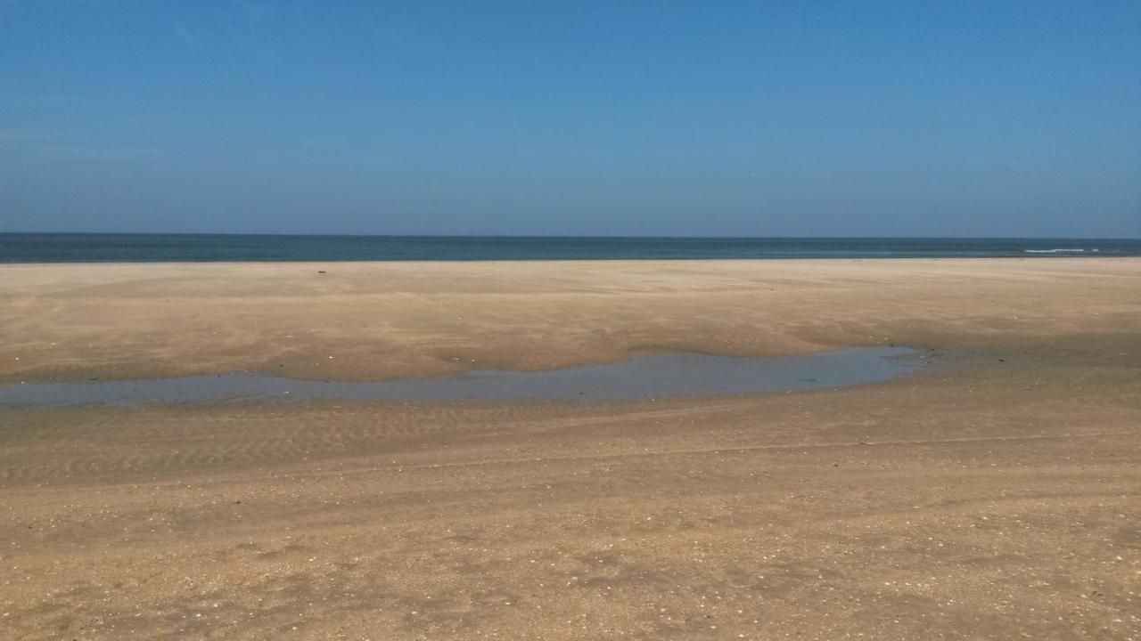 Vitamin Sea Heemskerk Esterno foto