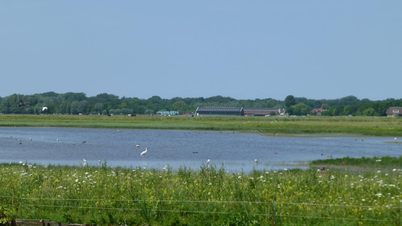 Vitamin Sea Heemskerk Esterno foto